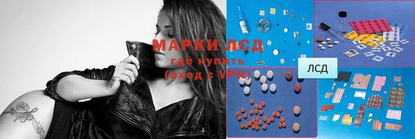 мдпв Абаза
