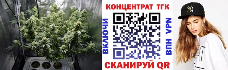 купить  сайты  Новоалтайск  ТГК концентрат 