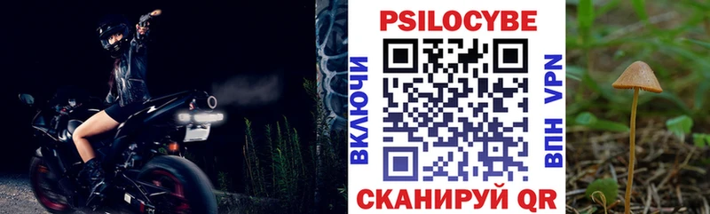 Псилоцибиновые грибы MAGIC MUSHROOMS  shop какой сайт  Новоалтайск 
